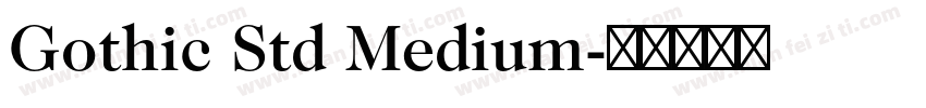 Gothic Std Medium字体转换